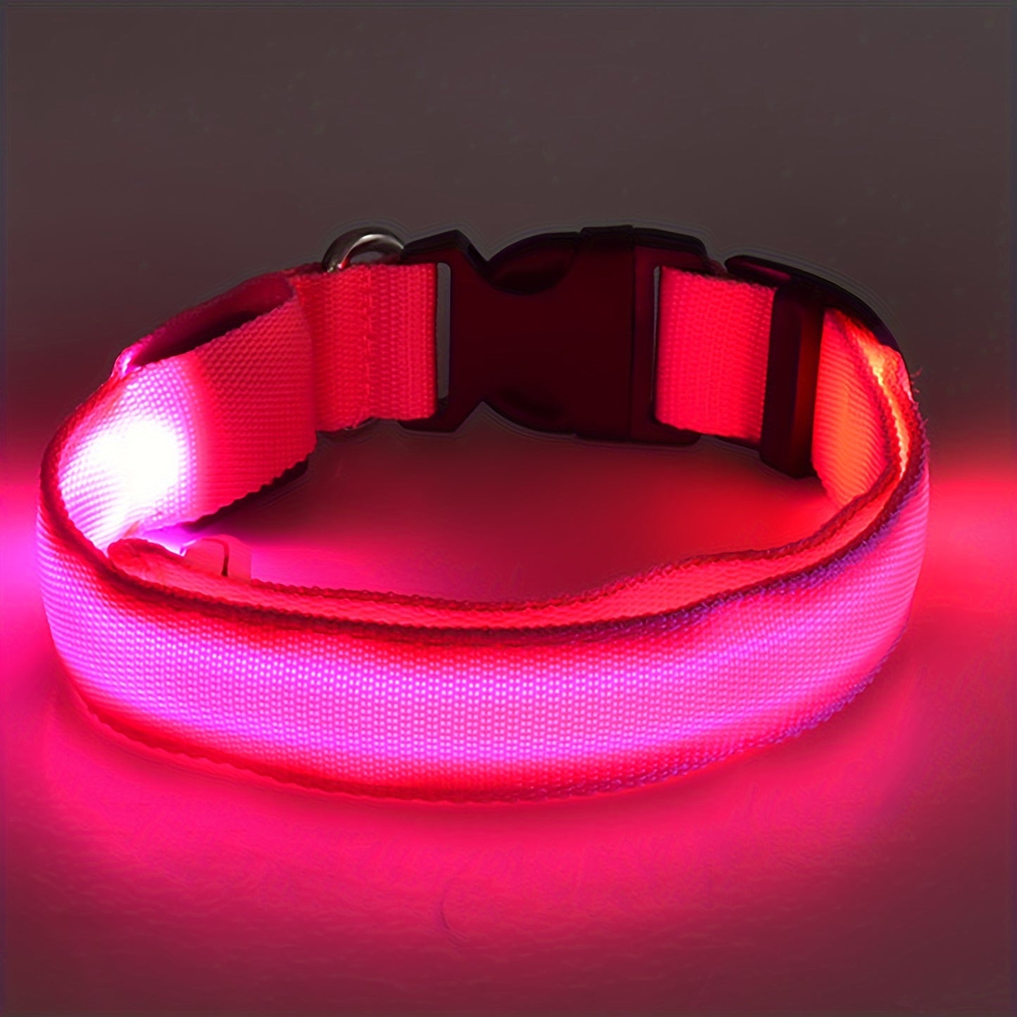 Collier LED Lumineux pour Chat 💡