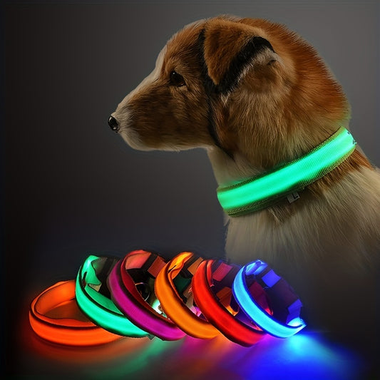Collier LED Lumineux pour Chat 💡