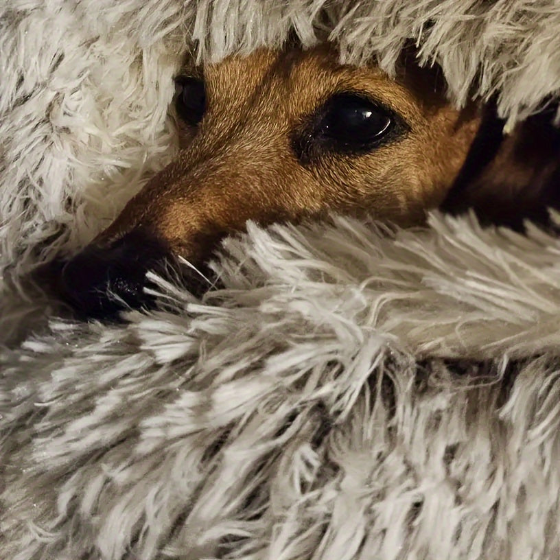 Nid Douillet pour Chat