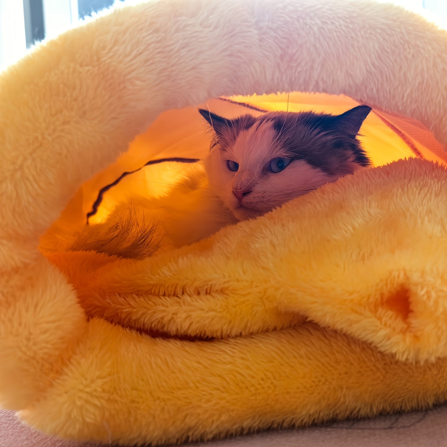 Lit miel pour chat – confort et chaleur 🐾