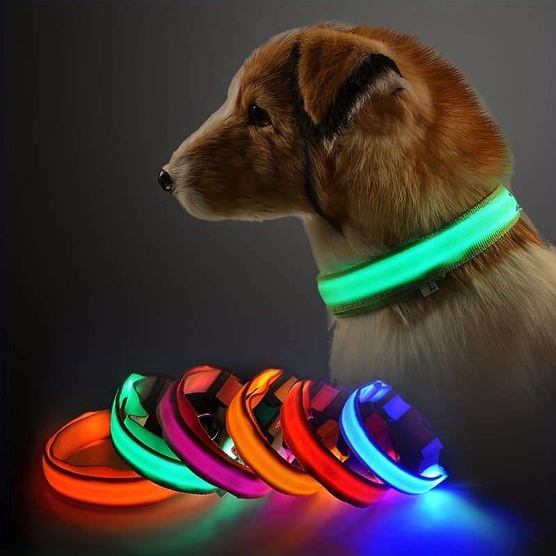 Collier LED Lumineux pour Chat 💡