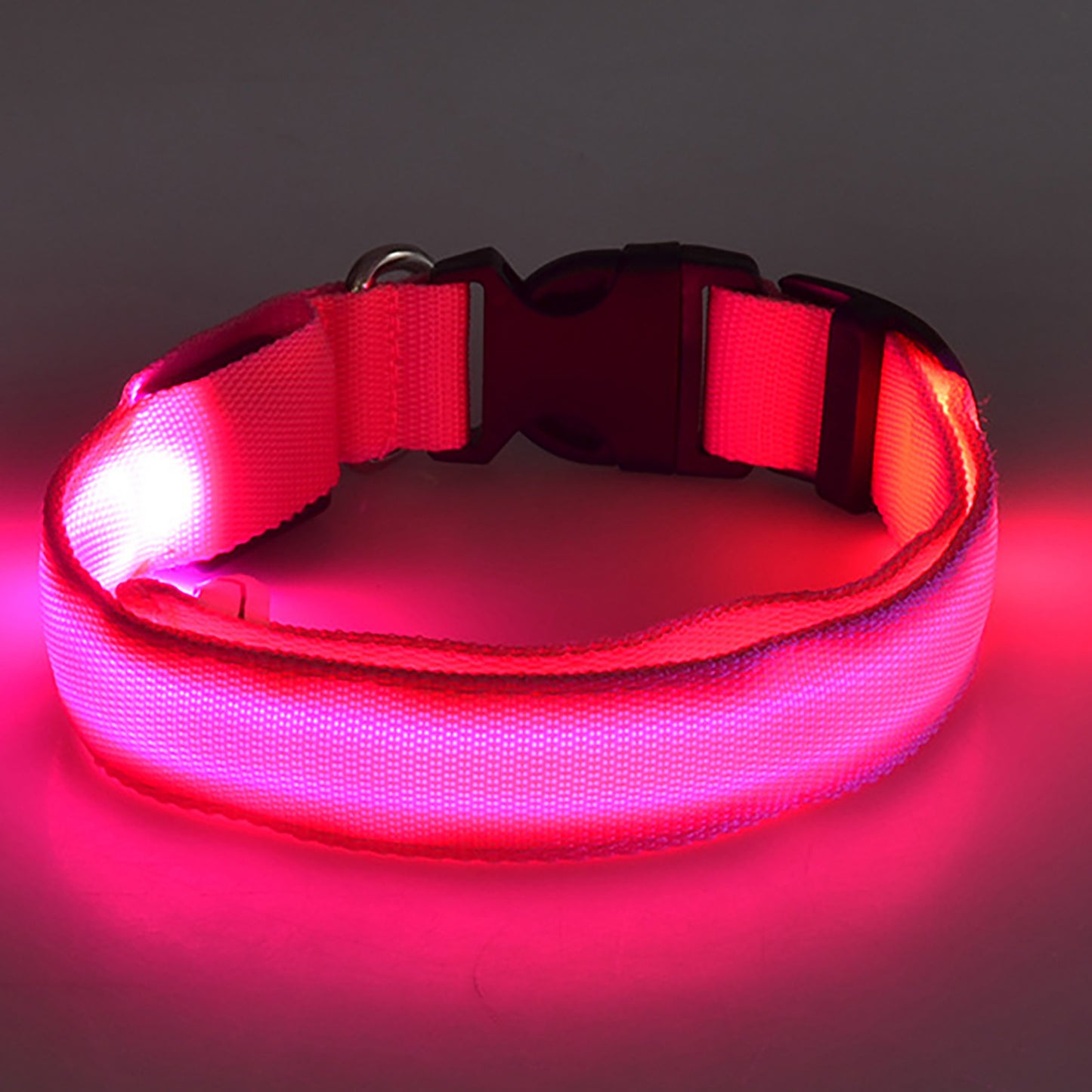 Collier LED Lumineux pour Chat 💡